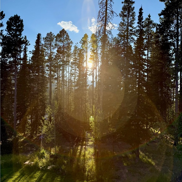 strangelydim